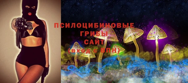 спиды Белокуриха