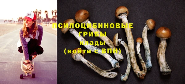 шишки Каменск-Шахтинский