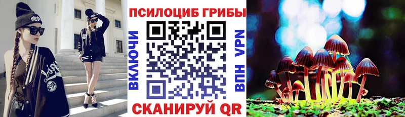 Галлюциногенные грибы мицелий  Куйбышев 